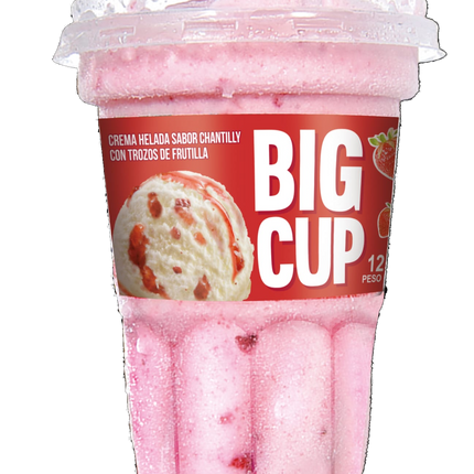 Big Cup Chantilly con Salsa