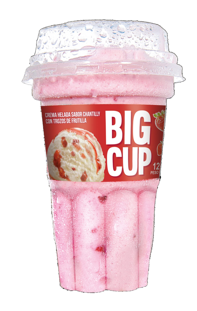 Big Cup Chantilly con Salsa